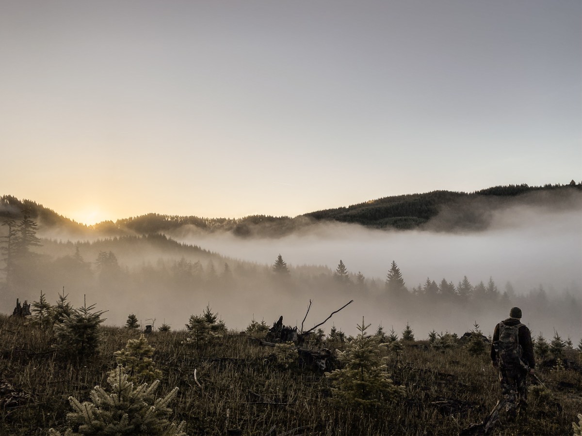 Welcome to Rebel&nbsp;Pursuit